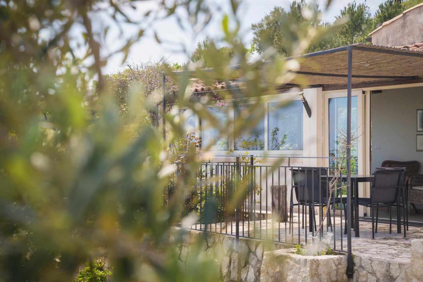 Tenuta Olive Alive Noto Quarto foto