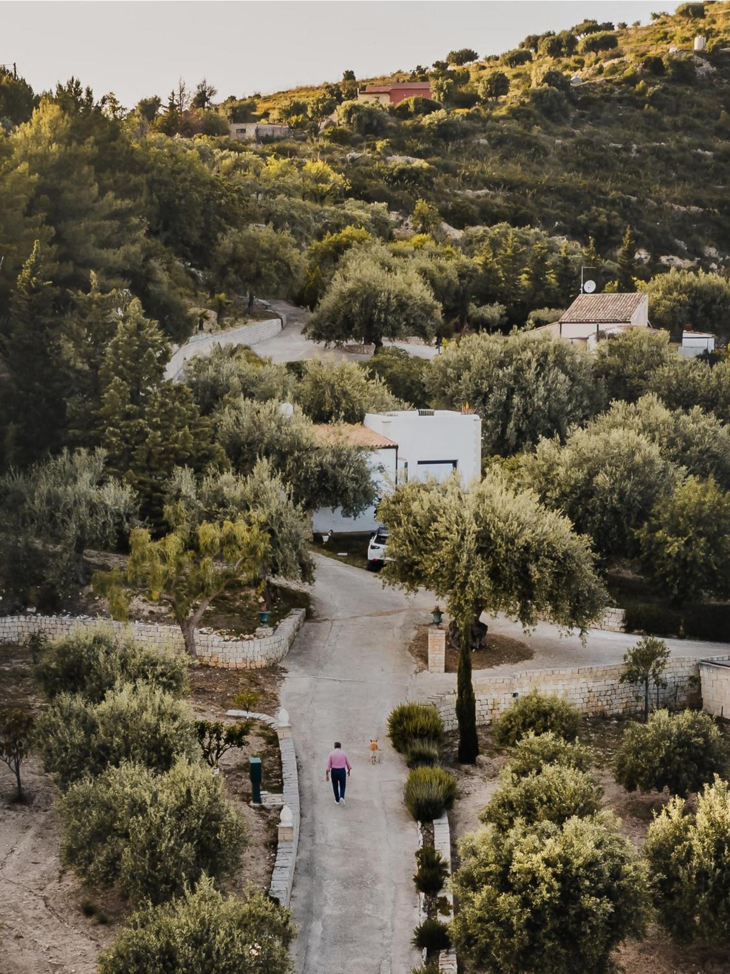 Tenuta Olive Alive Noto Quarto foto