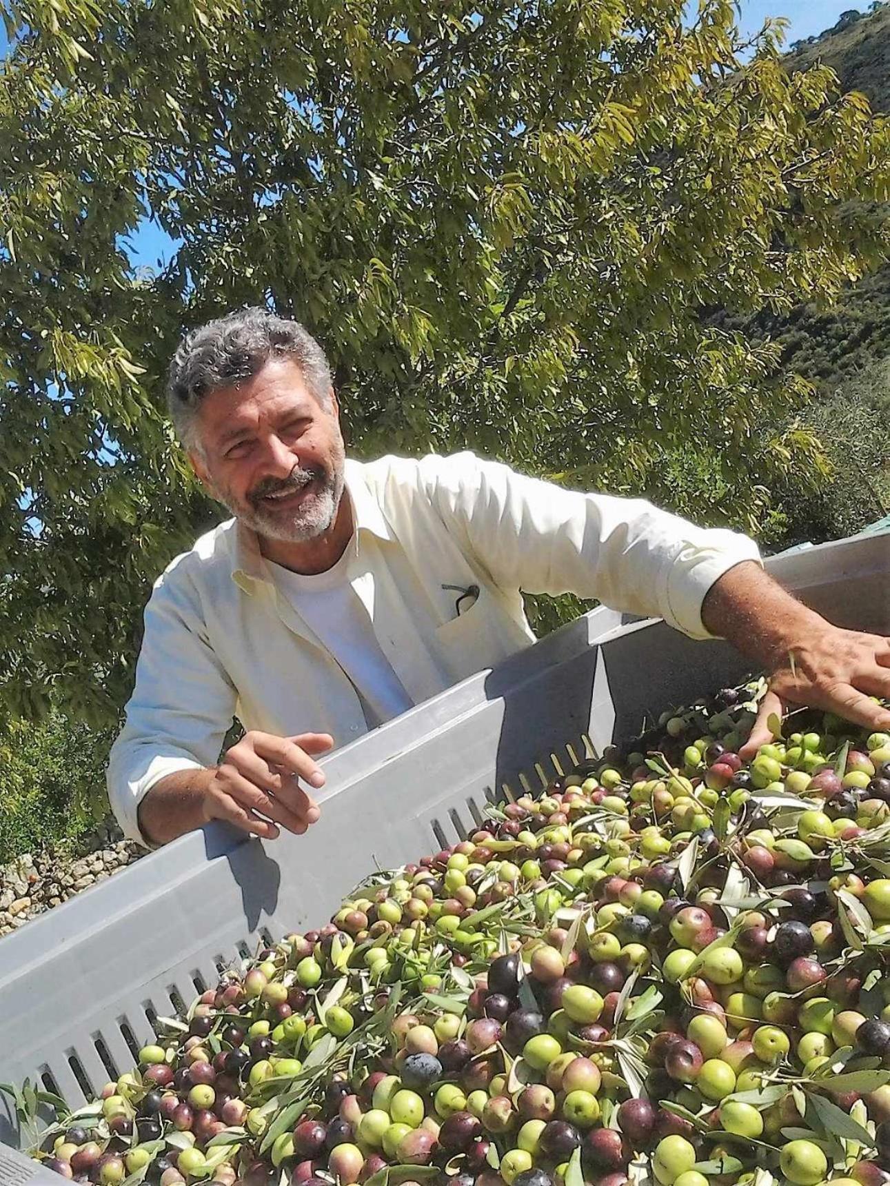 Tenuta Olive Alive Noto Exterior foto